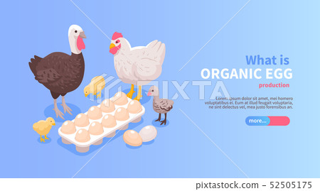 Poultry Farm Isometric Banner Stock Illustration 52505175 Pixta