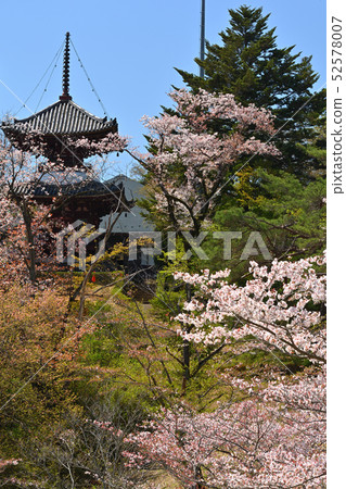 Met Life Dome (Seibu Dome) Met Life Dome (Seibu Dome) 52578007