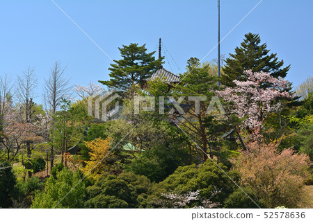 Met Life Dome (Seibu Dome) Met Life Dome (Seibu Dome) 52578636