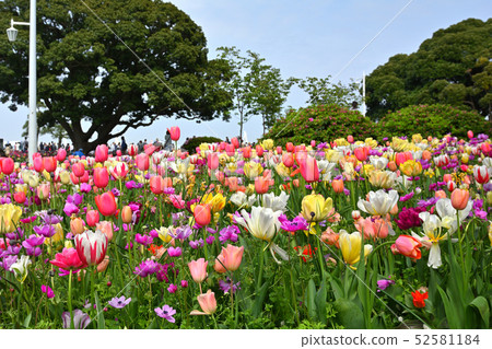 Yokohama · Yamashita Park 52581184