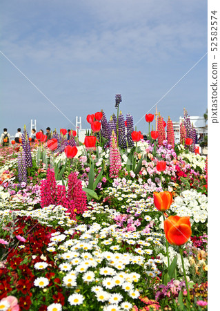 Yokohama · Yamashita Park Yokohama · Yamashita Park 52582574
