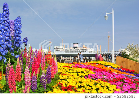 Yokohama · Yamashita Park Yokohama · Yamashita Park 52582585
