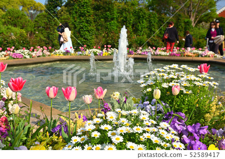 可以看到橫濱·港口的山公園 52589417