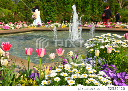 可以看到橫濱·港口的山公園 52589420