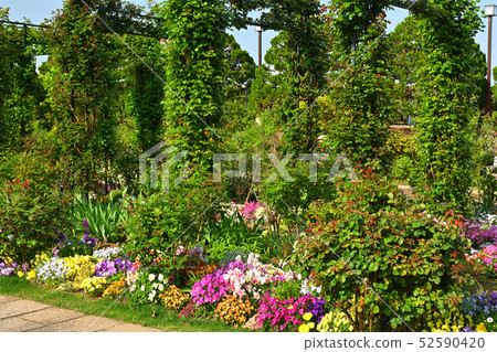Hill Park where Yokohama · Harbor can be seen 52590420