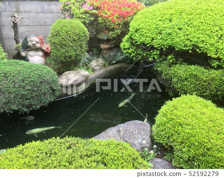 日本花園花園池塘蛾Tanuki Nobi雕像Shigaraki Yaki 日本花園花園池塘蛾Tanuki Nobi雕像Shigaraki Yaki 52592279