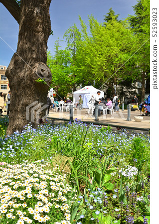 橫濱 橫濱 52593023