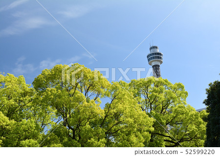 Yokohama · Yamashita Park Yokohama · Yamashita Park 52599220