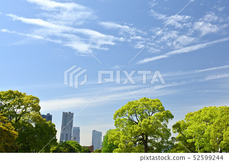 Yokohama · Yamashita Park Yokohama · Yamashita Park 52599244