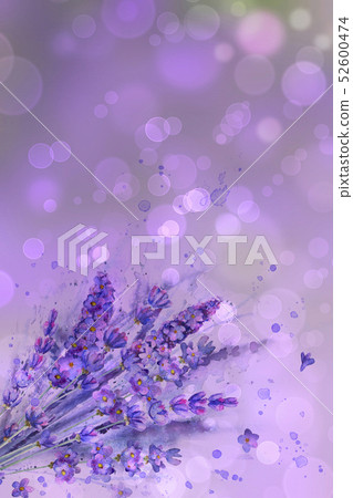 Watercolor lavender bouquet. Lavender flowers 52600474