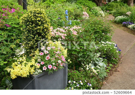Hill Park where Yokohama · Harbor can be seen Hill Park where Yokohama · Harbor can be seen 52609664