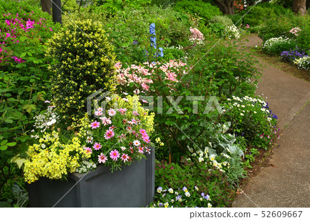Hill Park where Yokohama · Harbor can be seen Hill Park where Yokohama · Harbor can be seen 52609667