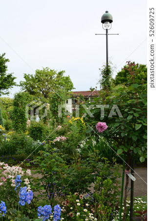 可以看到橫濱·港口的山公園 可以看到橫濱·港口的山公園 52609725