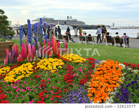 Yokohama · Yamashita Park 52613577