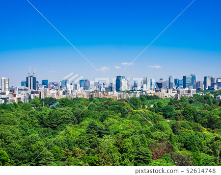 Tokyo Shinjuku Gyoen and the downtown area 52614748