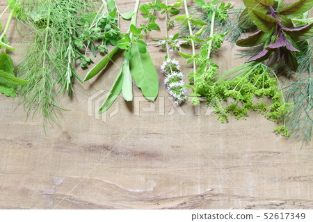 Kitchen Herb 52617349