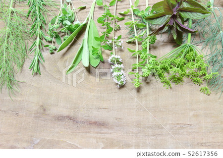 Kitchen Herb 52617356