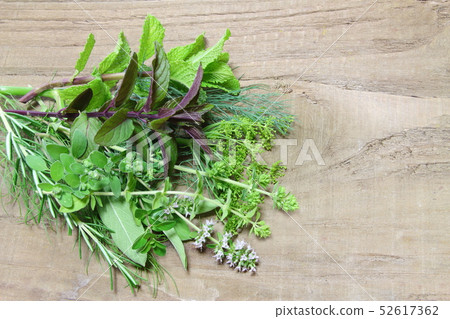 Kitchen Herb 52617362