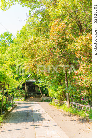 東京Chofu Kindaiji寺 52620301