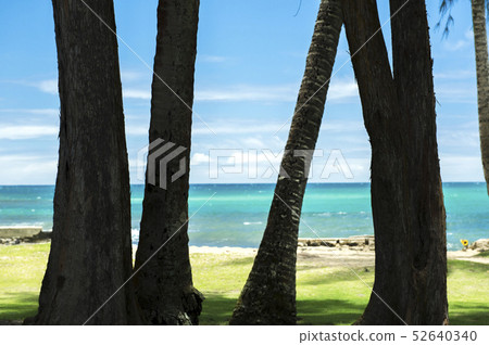 [夏威夷]威基基海灘 52640340