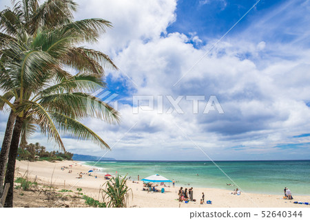 [夏威夷]威基基海灘 52640344