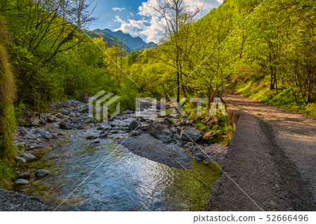 amazing Vertova river at sunset 52666496