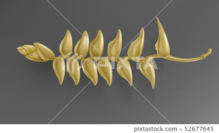 Tropical black and gold leaves on dark background Tropical black and gold leaves on dark background 52677645