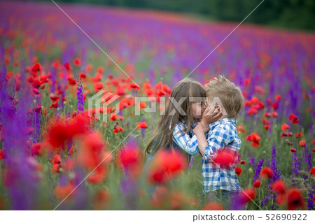 Little curly blond boy and girl play in poppy flower field. Child picking red poppies. Toddler kid Little curly blond boy and girl play in poppy flower field. Child picking red poppies. Toddler kid 52690922
