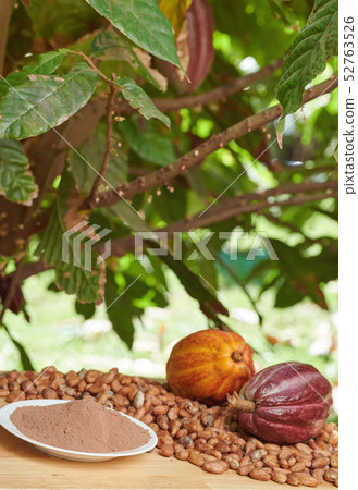 Cacao different products Cacao different products 52763526