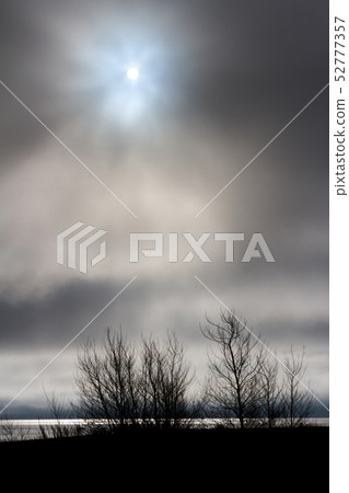 cloudy sky and tree profile 52777357