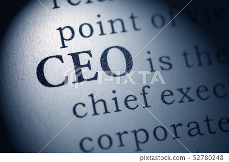 Chief executive officer Chief executive officer 52780248