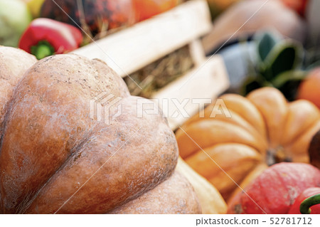large orange pumpkin closeup part foreground copy 52781712
