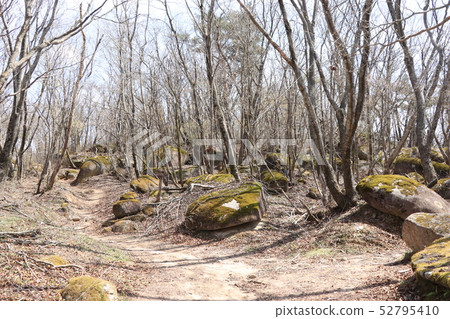 Kotogahara濕地遠足路線在春天 Kotogahara濕地遠足路線在春天 52795410