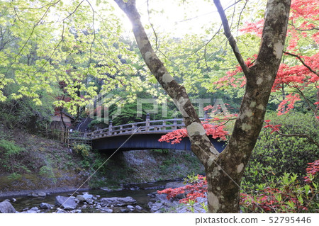Kofun Shrine in spring Kofun Shrine in spring 52795446