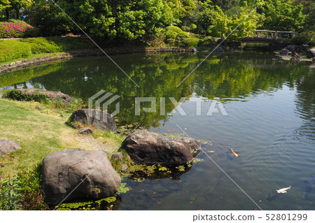 天鵝花園點景觀 天鵝花園點景觀 52801299