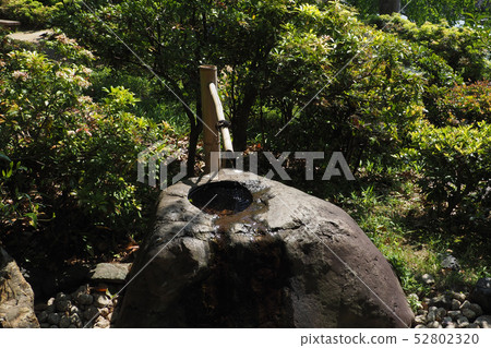 天鵝花園點景觀 天鵝花園點景觀 52802320