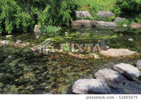 天鵝花園點景觀 天鵝花園點景觀 52805675