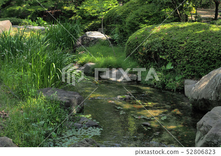 天鵝花園點景觀 天鵝花園點景觀 52806823