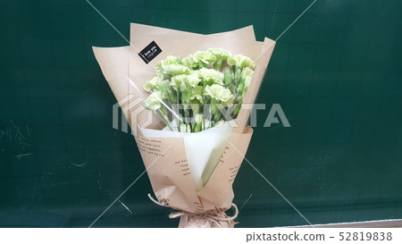 carnation carnation 52819838