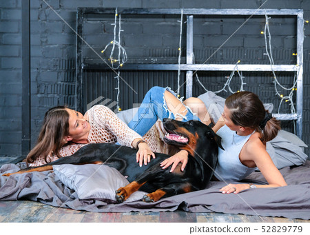 Woman in bed with big dog 52829779