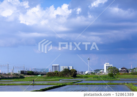 Rural landscape 52861389