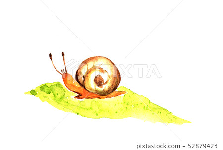蝸牛水彩 52879423
