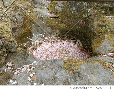 石坑 石坑 52892821