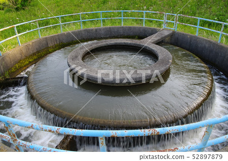 許多老缸水分流 52897879