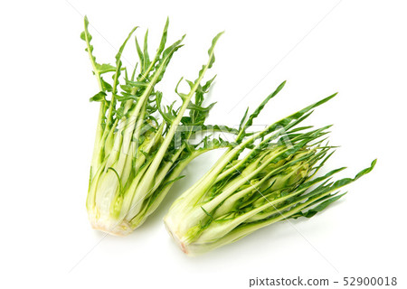 Puntarerra Puntarerra 52900018