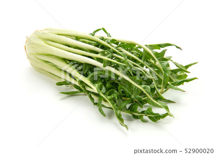 Puntarerra 52900020