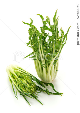 Puntarerra Puntarerra 52900030