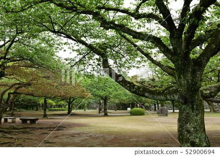 日本的100座著名城堡，德島城堡 52900694