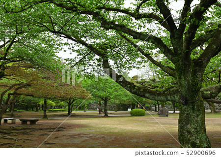 日本的100座著名城堡,德島城堡 日本的100座著名城堡,德島城堡 52900696