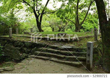 Japan's 100 Famous Castles, Tokushima Castle Japan's 100 Famous Castles, Tokushima Castle 52900721